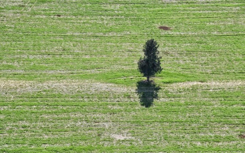 가색격의 특징과 삶의 지혜 - 풍요로운 대지를 닮은 운명 9