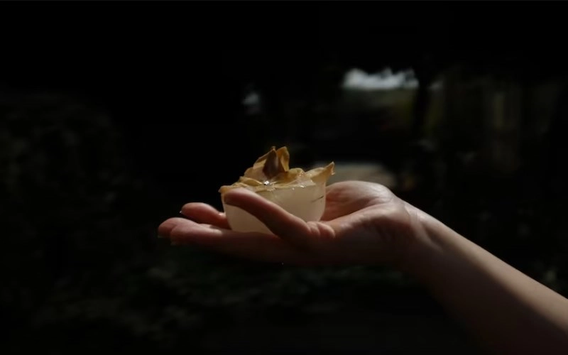 귀록격 완전 분석 - 사주 명리학의 특별한 격국, 그 모든 것을 파헤치다 6 귀록격 완전 분석 - 사주 명리학의 특별한 격국, 그 모든 것을 파헤치다 5