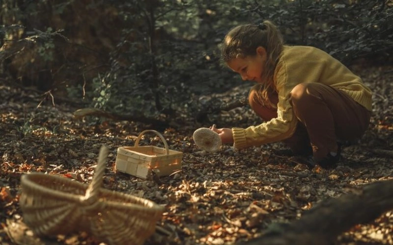 귀록격 완전 분석 - 사주 명리학의 특별한 격국, 그 모든 것을 파헤치다 4 귀록격 완전 분석 - 사주 명리학의 특별한 격국, 그 모든 것을 파헤치다 3