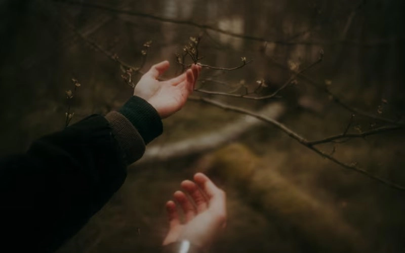 도충록마격 - 숨겨진 귀함을 스스로 불러오다 - 특징, 조건, 남녀 차이, 용신, 성격, 직업 심층 분석 9