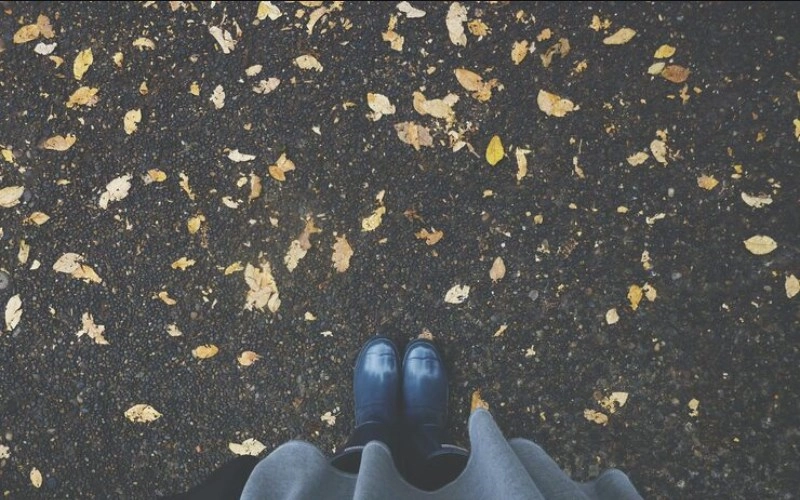 비천록마격 - 하늘을 나는 듯한 고귀함과 부 - 특징, 조건, 남녀 차이, 용신, 성격, 직업 완벽 해설 5