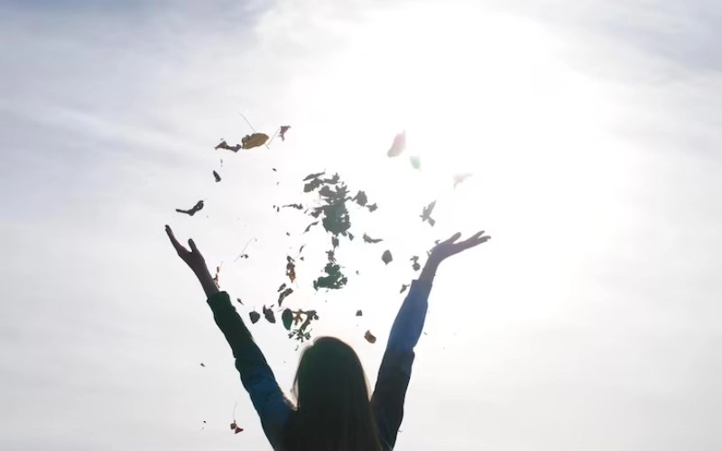 비천록마격 - 하늘을 나는 듯한 고귀함과 부 - 특징, 조건, 남녀 차이, 용신, 성격, 직업 완벽 해설 9