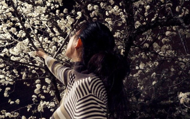 공록격 - 숨겨진 풍요와 복록의 암시, 노력 없이 얻는 특별한 행운 4 공록격 - 숨겨진 풍요와 복록의 암시, 노력 없이 얻는 특별한 행운 3