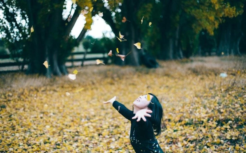 공록격 - 숨겨진 풍요와 복록의 암시, 노력 없이 얻는 특별한 행운 8 공록격 - 숨겨진 풍요와 복록의 암시, 노력 없이 얻는 특별한 행운 7
