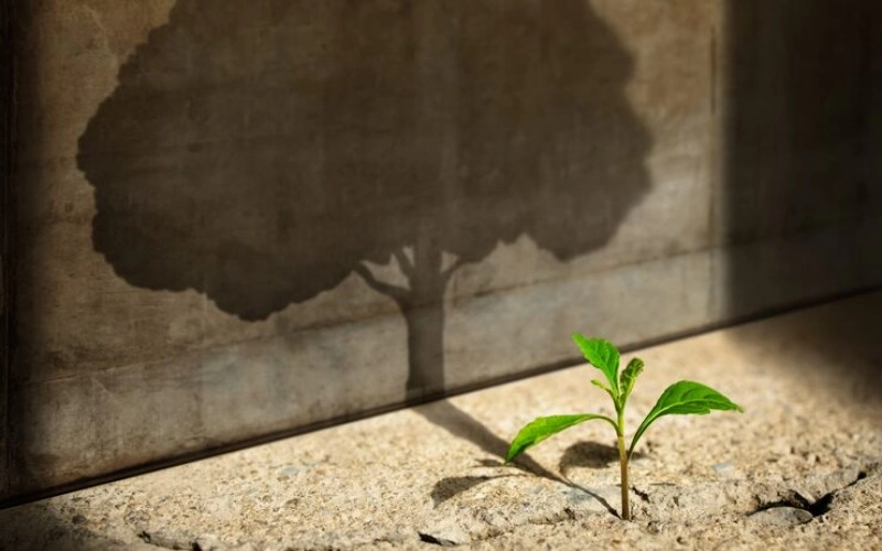 장생 장생 - 생명의 시작과 성장 1