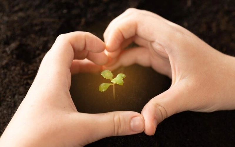 장생 장생 - 생명의 시작과 성장 2