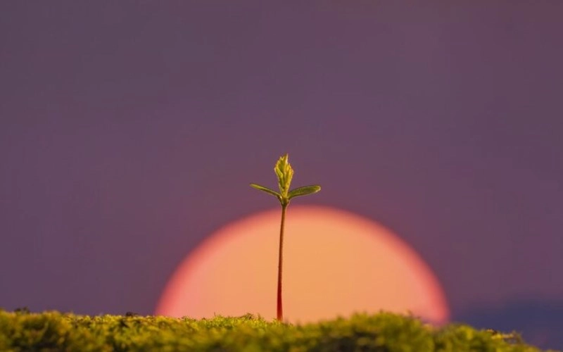 장생 장생 - 생명의 시작과 성장 3