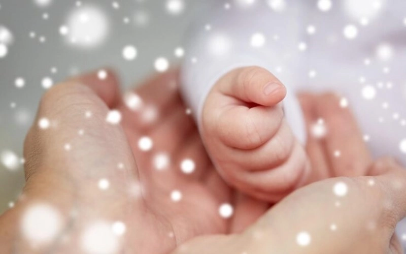 태 - 새로운 생명의 잉태, 희미한 가능성을 품다 4 태 - 새로운 생명의 잉태, 희미한 가능성을 품다 3