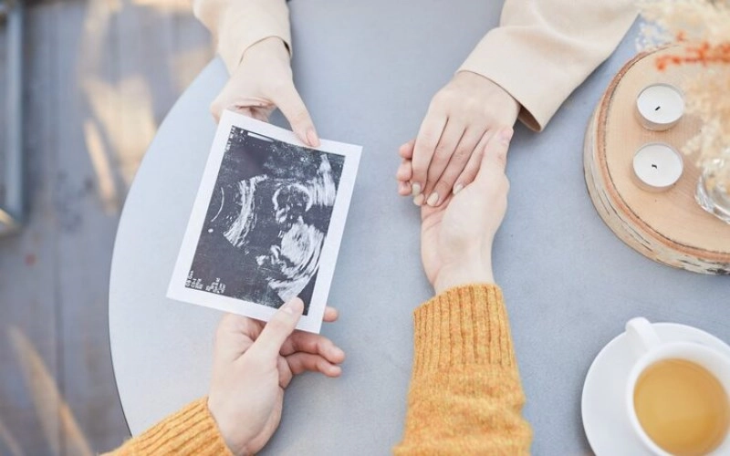 태 - 새로운 생명의 잉태, 희미한 가능성을 품다 2 태 - 새로운 생명의 잉태, 희미한 가능성을 품다 1