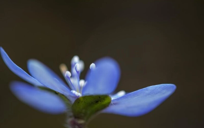 해묘미의 다채로운 세계 - 푸른 조화의 시작 3 20260115104722437