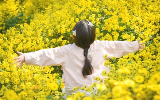 신유술 인묘진의 특별한 조화 - 성격, 궁합, 삶의 방향성 12