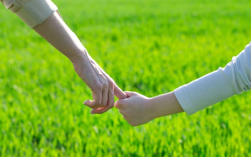 인축합 인축합의 은밀한 조화 - 호랑이와 소의 숨겨진 끌림과 운명적 관계 1