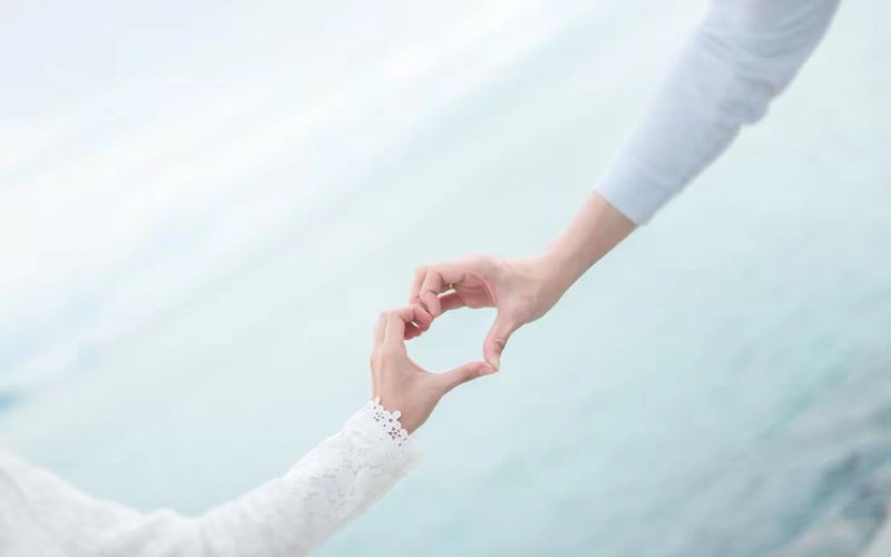 인미합 인미합의 은은한 끌림 - 호랑이와 양의 숨겨진 조화와 관계 1