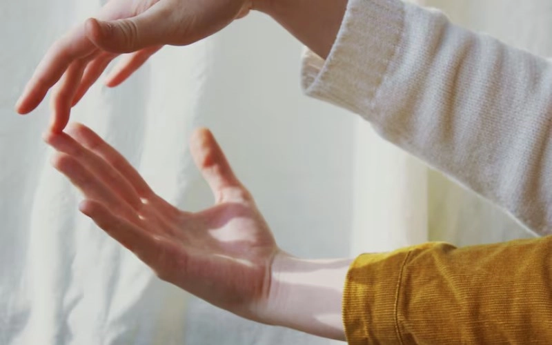 인미합 인미합의 은은한 끌림 - 호랑이와 양의 숨겨진 조화와 관계 2