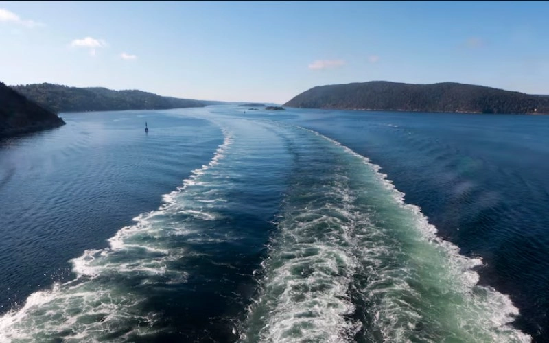 진자합 진자합의 깊은 웅덩이 - 용과 쥐의 만남, 물의 근원을 이루다 1