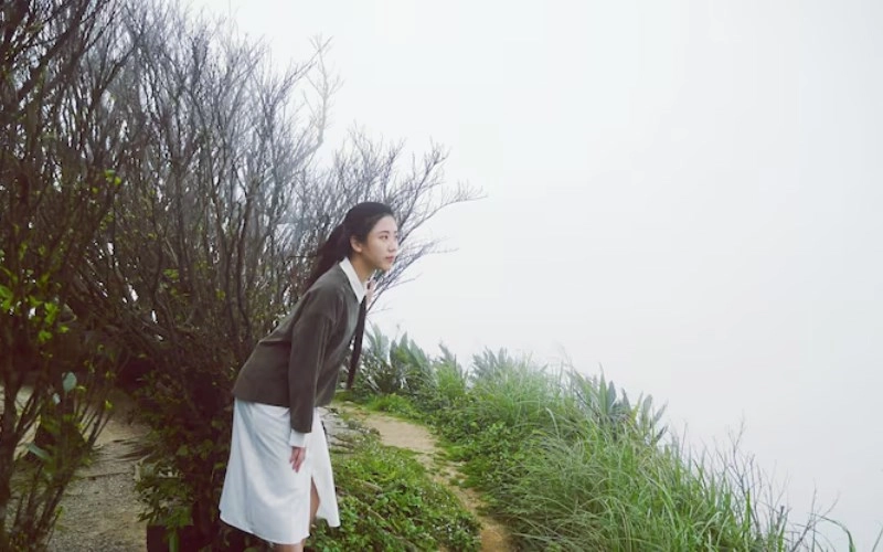 인신충 - 숙명적인 끌림과 불안정한 조화, 다면적인 이해 - 합충형해파 인신충 인신충 - 숙명적인 끌림과 불안정한 조화, 다면적인 이해 4