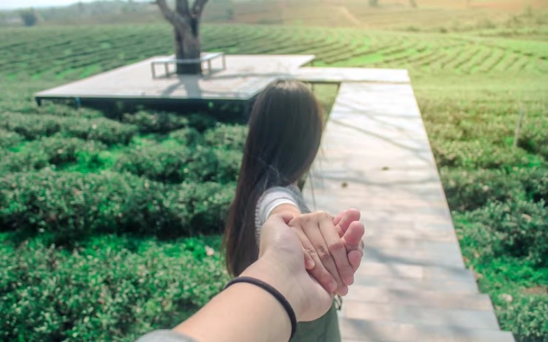 인신충 - 숙명적인 끌림과 불안정한 조화, 다면적인 이해 - 합충형해파 인신충 인신충 - 숙명적인 끌림과 불안정한 조화, 다면적인 이해 1