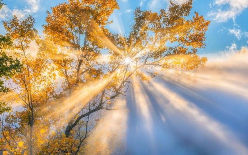 사주 득령 - 운명의 계절을 잡아라 1