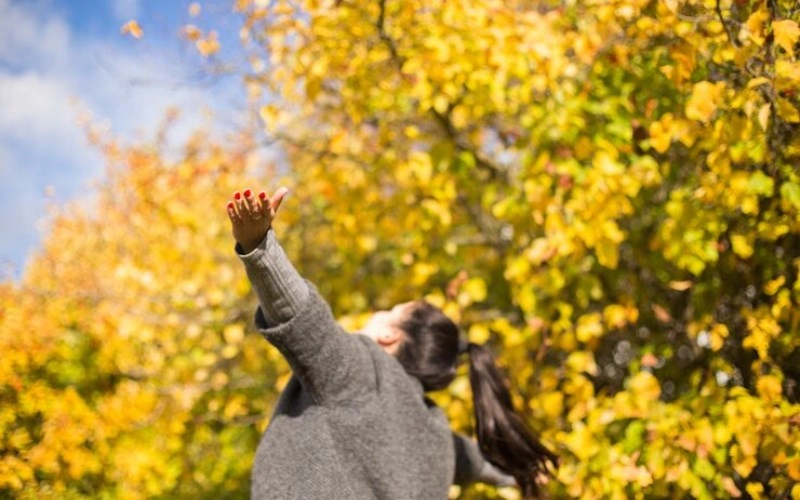 사주 득령 - 운명의 계절을 잡아라 3