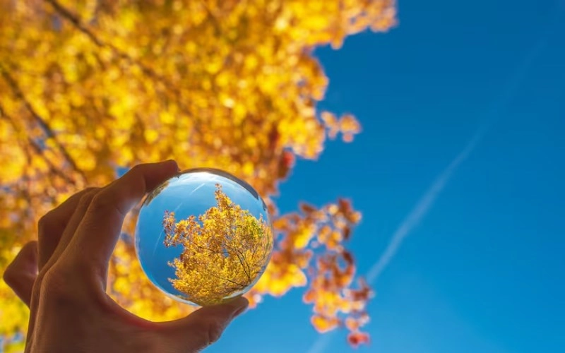 사주 득령 - 운명의 계절을 잡아라 5