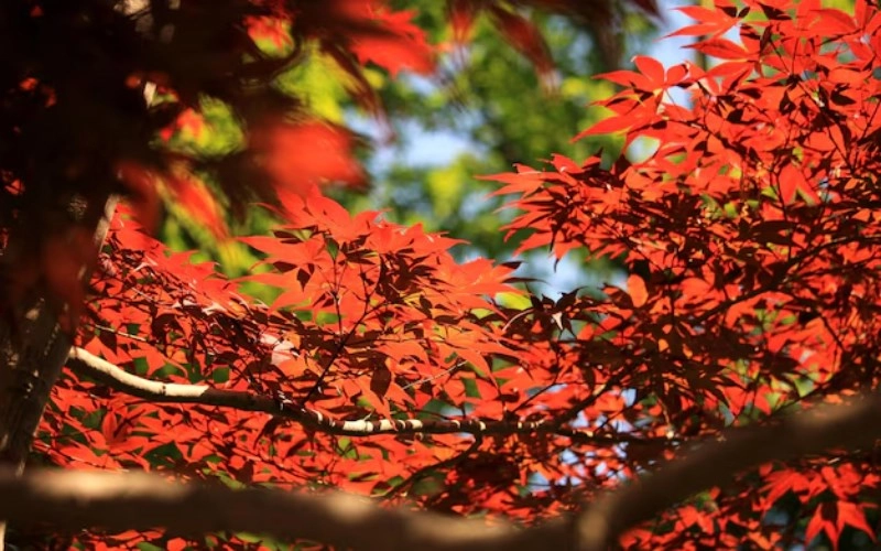 사주 득령 - 운명의 계절을 잡아라 7