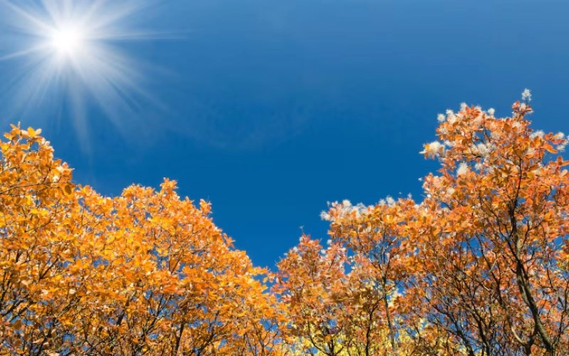 사주 득령 - 운명의 계절을 잡아라 9