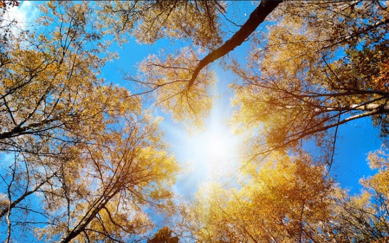 사주 득령 - 운명의 계절을 잡아라 13