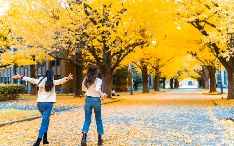 사주 득지 - 사주팔자에서 계절의 힘을 얻는다는 것은 무엇을 의미할까요? 1