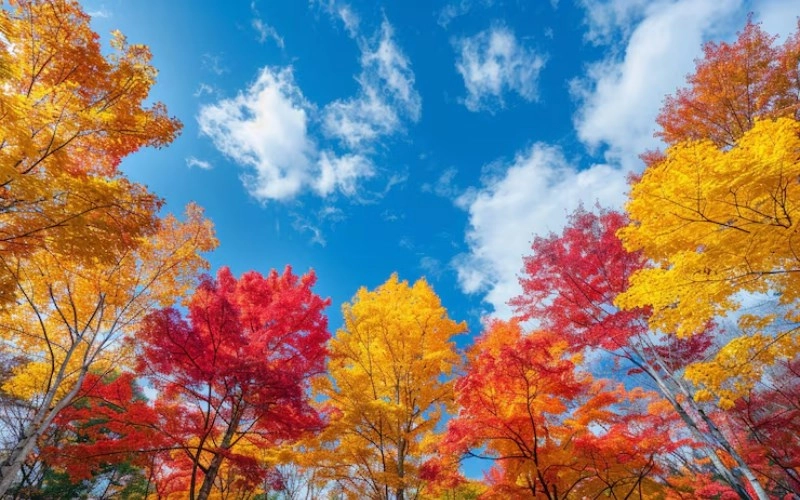 사주 득지 - 사주팔자에서 계절의 힘을 얻는다는 것은 무엇을 의미할까요? 3