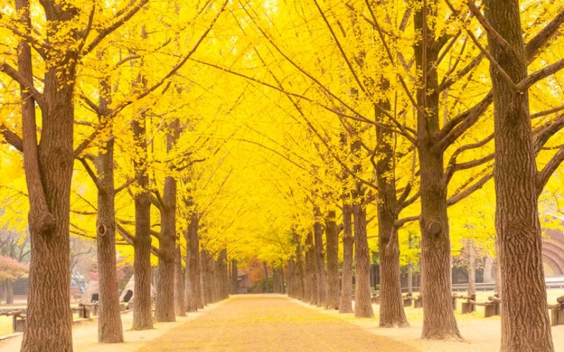 사주 득지 - 사주팔자에서 계절의 힘을 얻는다는 것은 무엇을 의미할까요? 11