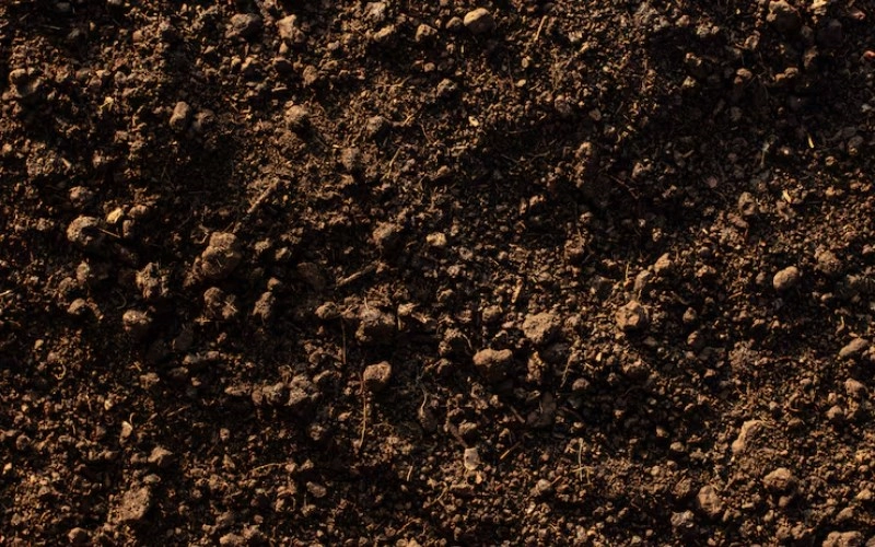 진술축미 토(土)의 이해와 인생의 흐름 1