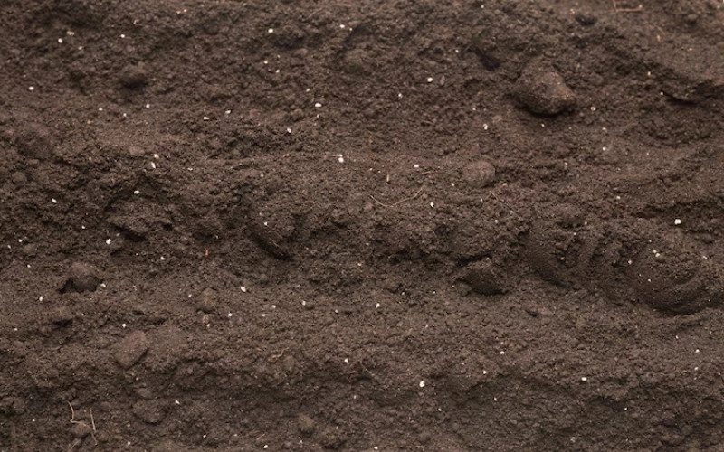 진술축미 토(土)의 이해와 인생의 흐름 5