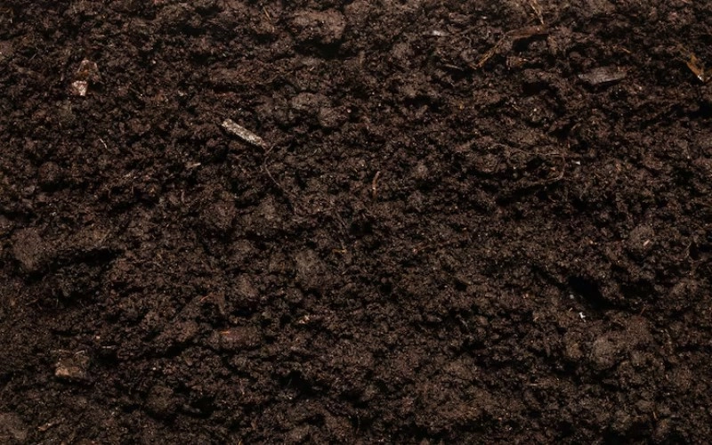 진술축미 토(土)의 이해와 인생의 흐름 3