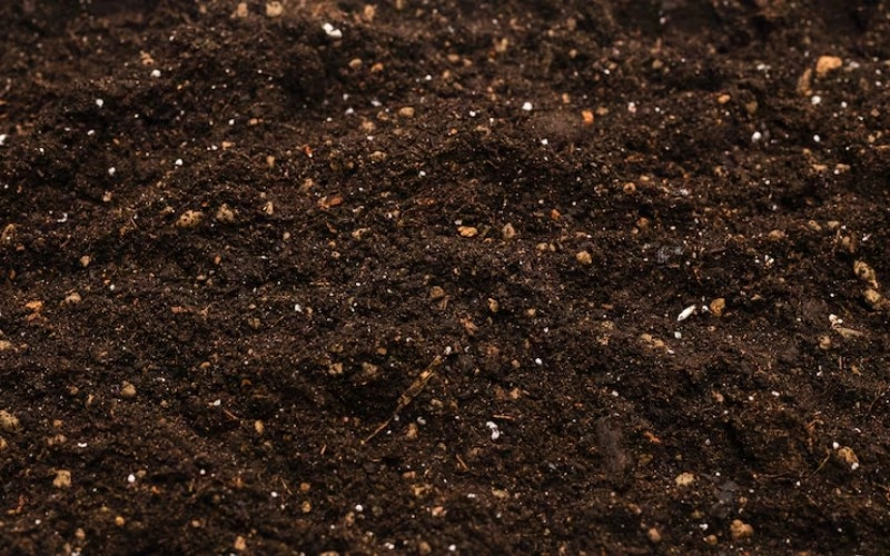 진술축미 토(土)의 이해와 인생의 흐름 13