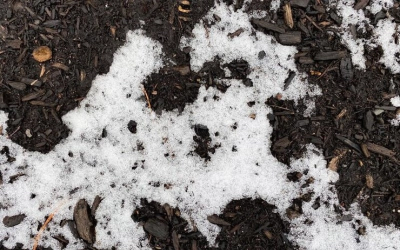 진술축미 토(土)의 이해와 인생의 흐름 7