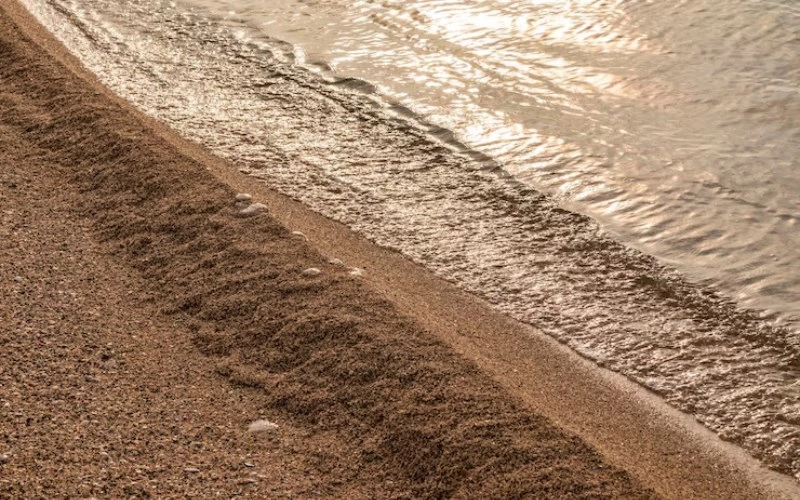 진술축미 토(土)의 이해와 인생의 흐름 11