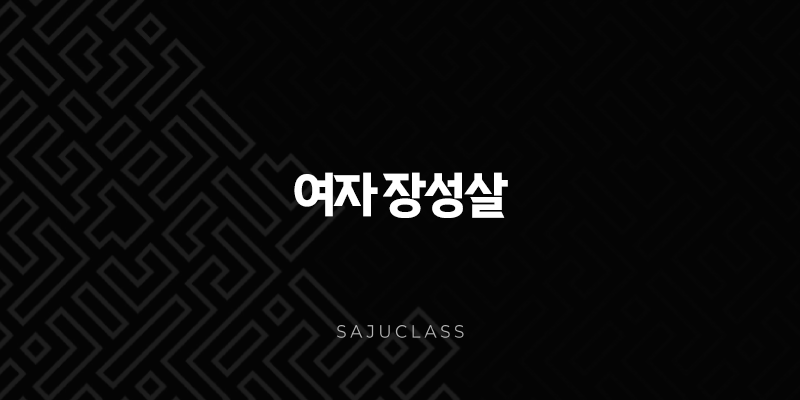 여자 장성살 - 내 안의 장군, 성공과 리더십의 별 1 image 103