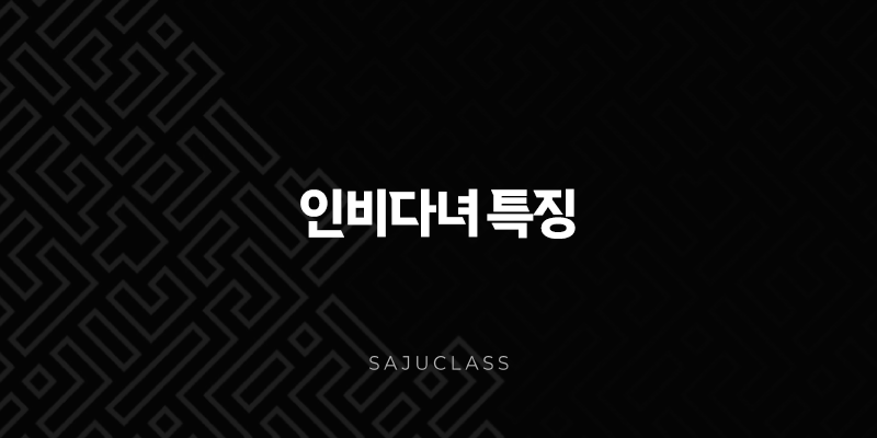 인비다녀 특징 완벽 분석 - 당신의 매력과 잠재력을 깨우세요! 1 image 121