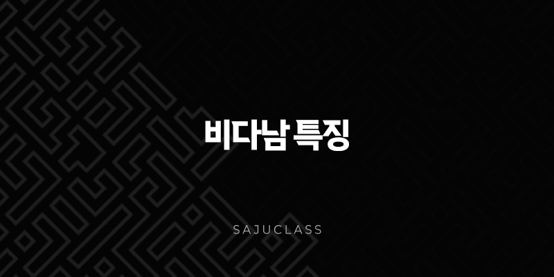 비다남 특징 파헤치기 : 매력부터 주의점까지, 당신이 궁금했던 모든 것 1 image 194