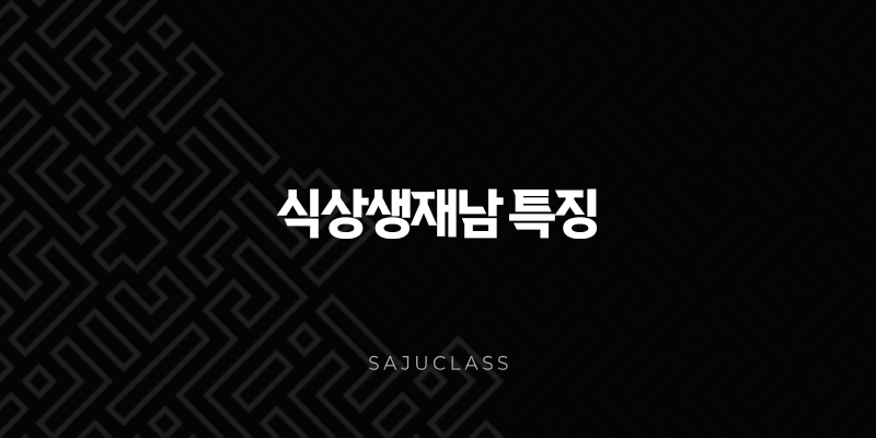 매력 터지는 식상생재남 특징 파헤치기 - 연애, 성격, 재물운 완벽 분석 1 image 201