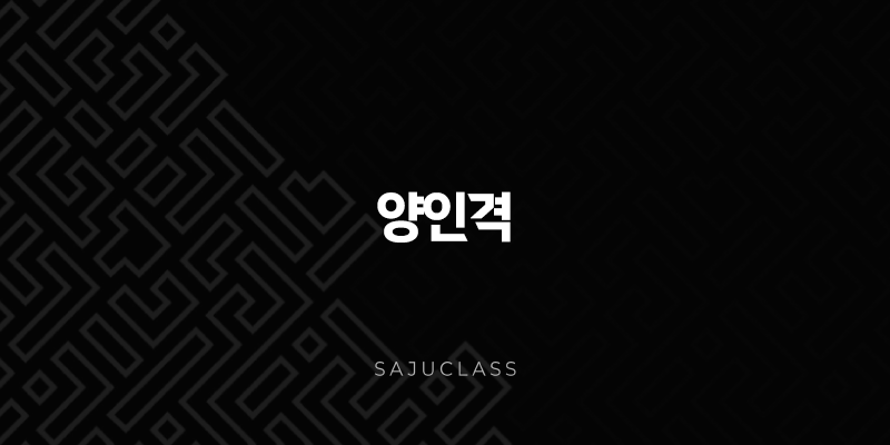 양인격 - 강렬한 카리스마와 통솔력, 부러지지 않는 칼날의 운명 1 image 251