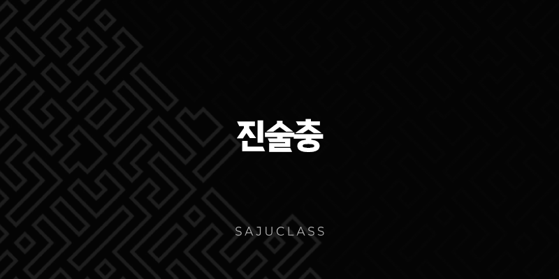 진술충 - 당신의 사주에 숨겨진 드라마 : 특징, 성격, 궁합, 발복, 해소 그리고 매력 1 image 29