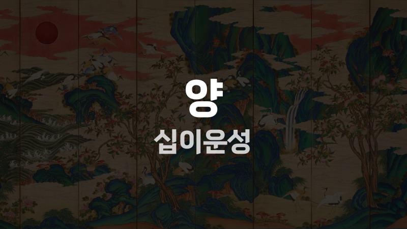 양 십이운성