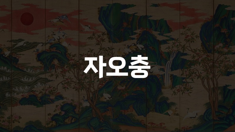 자오충