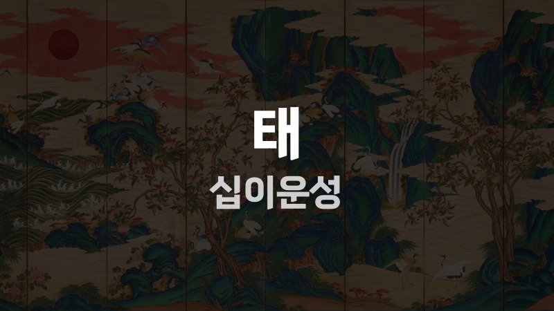 태 십이운성
