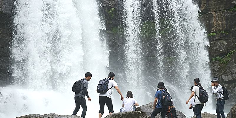 신자진 반합 - 사주 속 강력한 물의 기운, 당신의 운명에 미치는 영향은? 5 20250514065400047