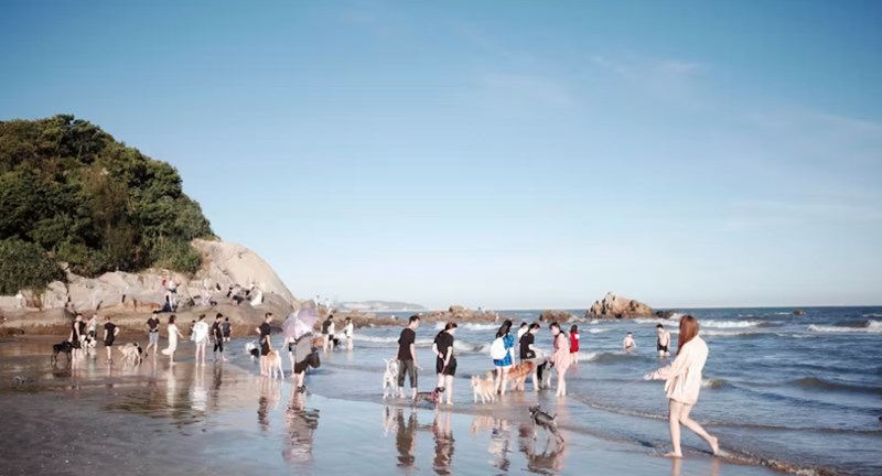 겁재대운 재물 - 인생의 전환점에서 부와 성공을 잡는 비법 6 20251207034749010