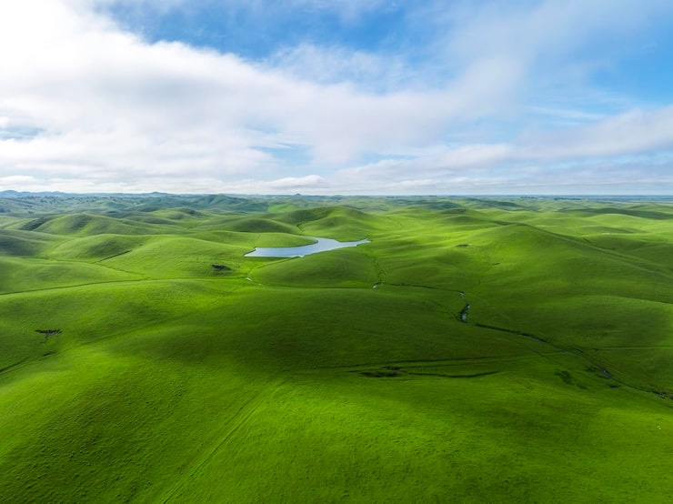 통근, 투간, 투출 - 사주팔자 완전 정복, 천기누설 운명 분석법 2 202601050846144022