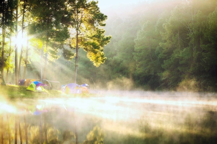 통근, 투간, 투출 - 사주팔자 완전 정복, 천기누설 운명 분석법 6 202601050847053537