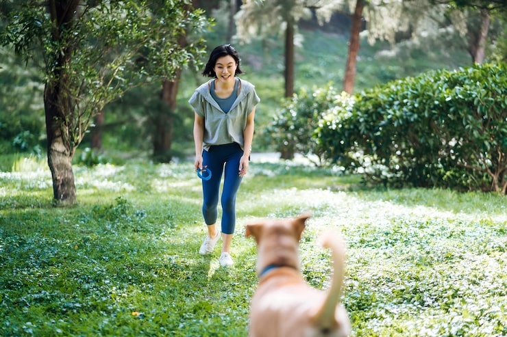 갑기암합 - 사주 천간의 특별한 만남, 중정지합의 깊은 이해와 궁합, 재물운, 성격 알아보기 11